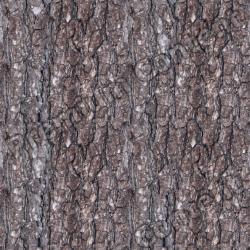 Seamless Bark 0001